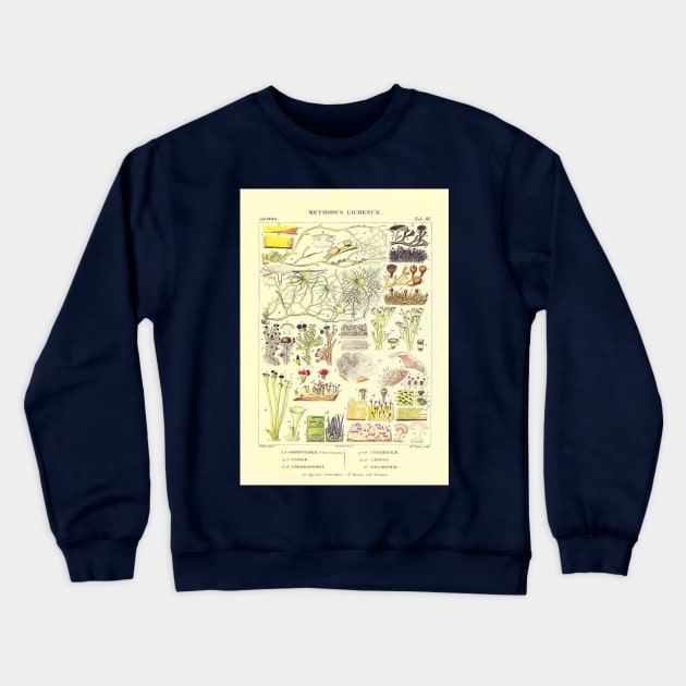 Lichen - Essai sur les cryptogames - Botanical Illustration Crewneck Sweatshirt by chimakingthings